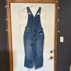 Judy Blue Overalls